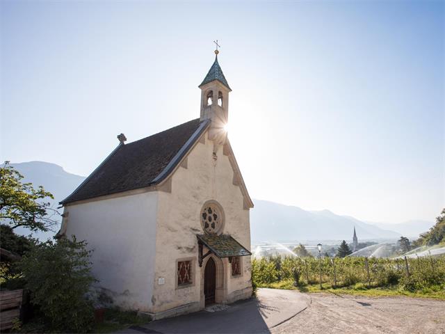 Foto für Kirchenführung und Besichtigung der St. Margarethen Kirche